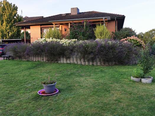 Einfamilienhaus zum Kauf 320.000 € 3 Zimmer 133 m² 1.058 m² Grundstück Behringen Bispingen 29646