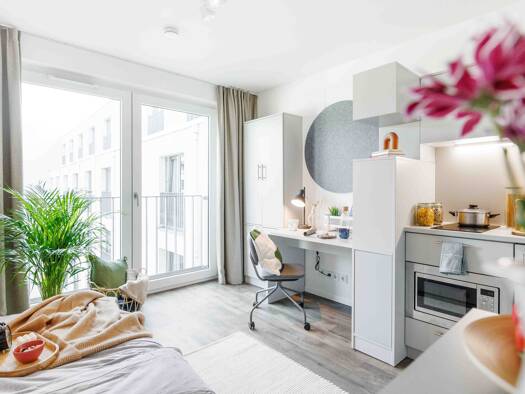 Studio zur Miete 950 € 1 Zimmer 19 m² frei ab sofort Köpenicker Straße 43 Mitte Berlin 10179