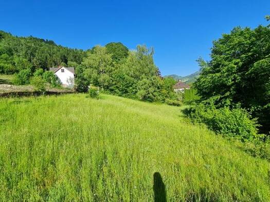 Grundstück zum Kauf 762.960 € 4.488 m² Grundstück Losenstein 4460