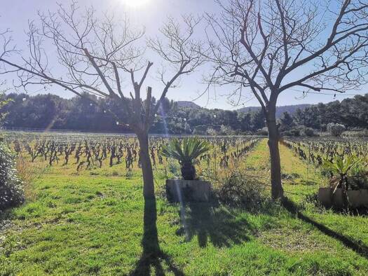 Einfamilienhaus zum Kauf 1.195.000 € 100 m² 300 m² Grundstück Plage et Ecarts CASSIS 14700