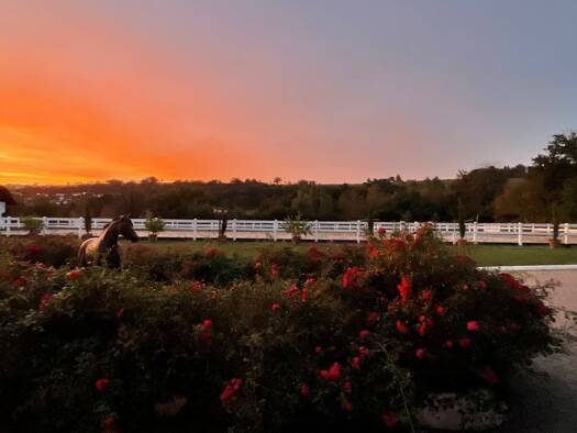 Sonstiges zum Kauf provisionsfrei 2.500.000 € 32.795 m² Grundstück Binau 74862