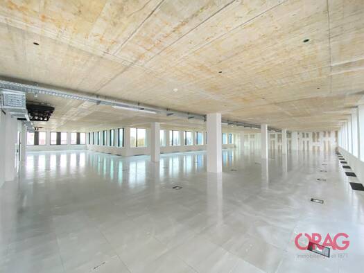 Bürofläche zur Miete - Erstbezug 15,50 € 1.086,2 m² Bürofläche Lustenau Linz 4020