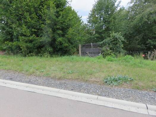 Grundstück zum Kauf 36.000 € 800 m² Grundstück frei ab sofort Hettstedt 06333