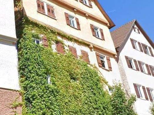 Wohnung zur Miete 231 € 1 Zimmer 30 m² frei ab sofort Kirchstraße 12 Altensteig Altensteig 72213