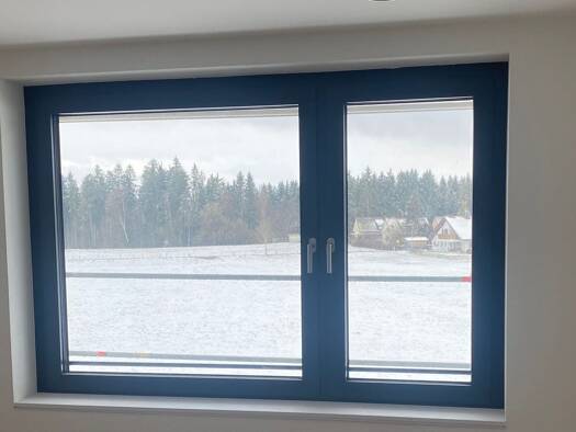 Wohnung zur Miete 1.005 € 2 Zimmer 67 m² frei ab 01.05.2026 Niederwangen 88239