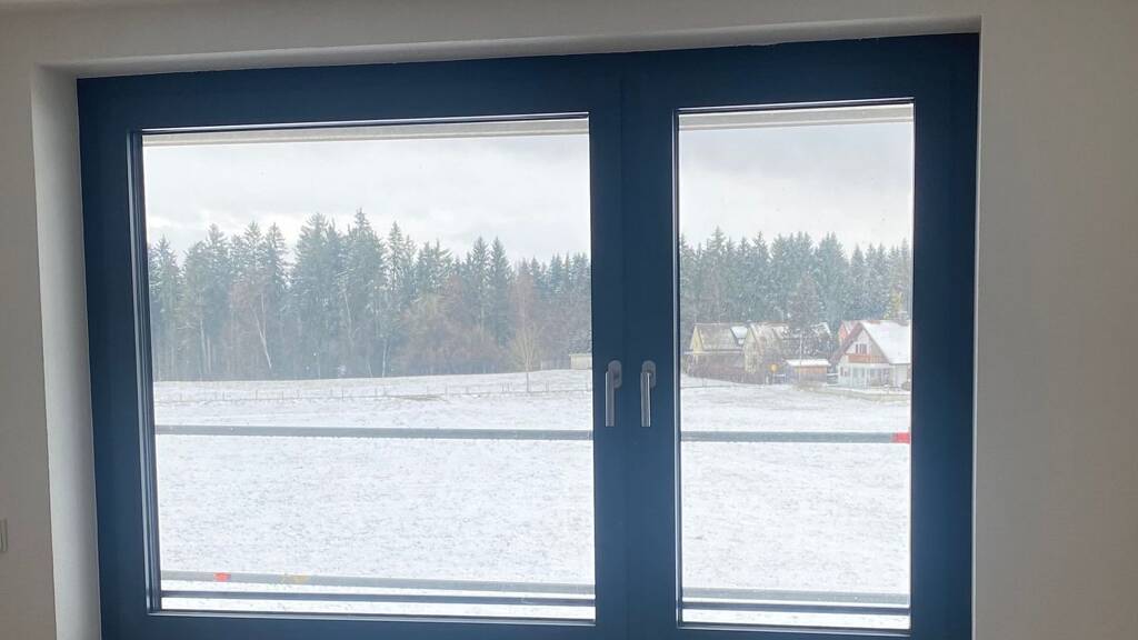 Wohnung zur Miete 1.005 € 2 Zimmer 67 m² frei ab 01.05.2026 Niederwangen 88239