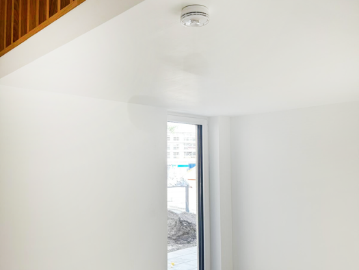 Terrassenwohnung zur Miete - Erstbezug 1.015 € 2 Zimmer 73,5 m² EG frei ab sofort Bamberg 96052