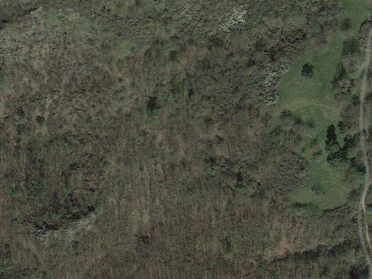 Land-/Forstwirtschaft zum Kauf 600 € 786 m² Grundstück Altenahr 53505