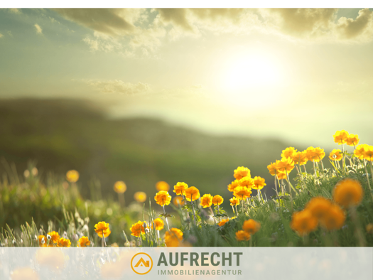 Land-/Forstwirtschaft zum Kauf 4.630 m² Grundstück Volkersdorf Jetzendorf 85305