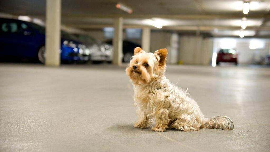 Tiefgaragenstellplatz zur Miete provisionsfrei 80 € Hinter dem Holze 55 Bemerode Hannover 30539