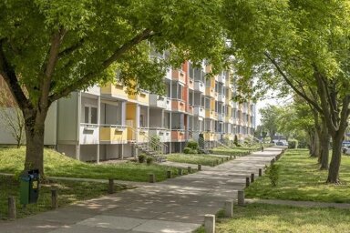 Wohnung zur Miete 470 € 4 Zimmer 84,9 m² 4. Geschoss frei ab 01.01.2025 Meseberger Weg 23 Meseberger Weg / Milchweg Magdeburg 39128