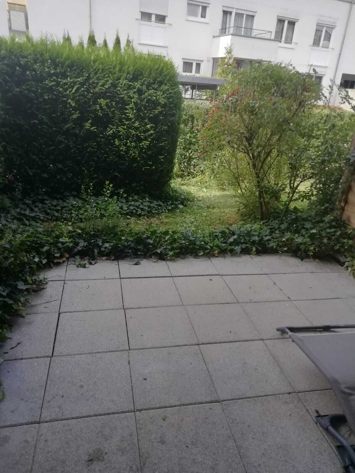 Terrassenwohnung zum Kauf 249.000 € 2 Zimmer 64 m²<br/>Wohnfläche 1.<br/>Geschoss 01.01.2025<br/>Verfügbarkeit Bavendorf Ravensburg 88213