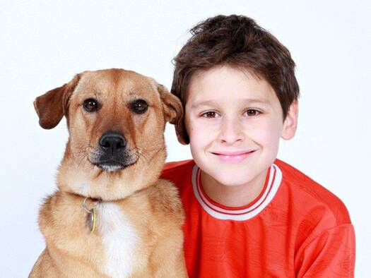 Einfamilienhaus zum Kauf 949.560 € 5 Zimmer 150 m² 540 m² Grundstück Wellingsbüttel Hamburg 22391