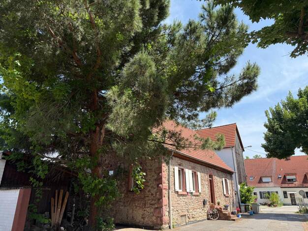 Einfamilienhaus zum Kauf provisionsfrei 490.000 € 6 Zimmer 205,4 m² 198 m² Grundstück Mannheim 68307
