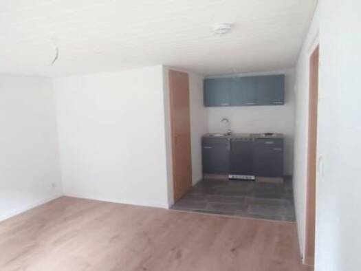 Wohnung zur Miete 187 € 1 Zimmer 24 m² Geschoss -1/2 frei ab sofort Ebern 96106
