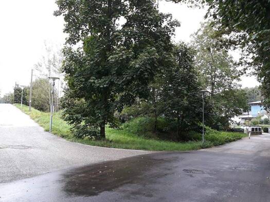 Grundstück zum Kauf provisionsfrei 119.000 € 397 m² Grundstück Baumannweg Vöcklabruck 4840