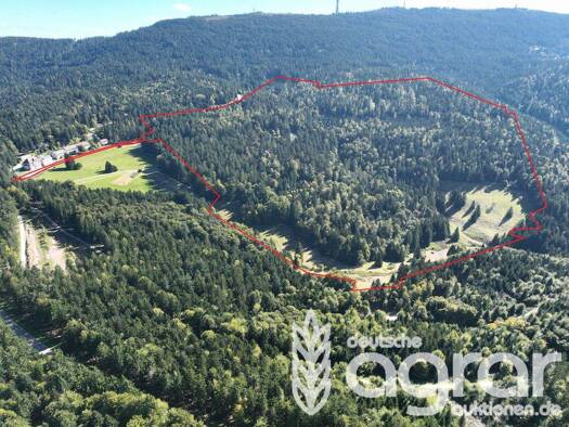 Land-/Forstwirtschaft zum Kauf 799.000 € 415.639 m² Grundstück Sasbachwalden 77887