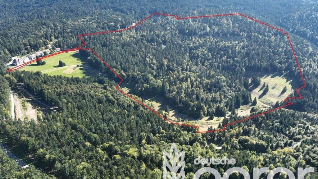 Ein Stück SchwarzWALD ca. 42 ha in der Nähe von Achern bei Sasbachwalden