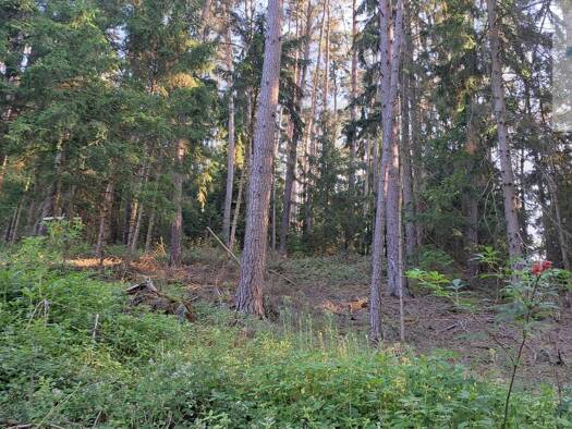 Land-/Forstwirtschaft zum Kauf 11.000 m² Grundstück Gilnhof Schorndorf 93489