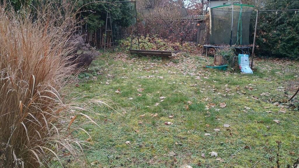 Grundstück zum Kauf 490.000 € 1.108 m² Grundstück frei ab sofort Zeuthen 15738