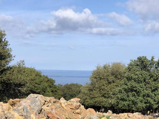Grundstück zum Kauf 950.000 € 40.505 m² Grundstück Kreta Municipality of Rethymnon 741 00