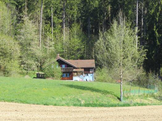 Einfamilienhaus zum Kauf 285.000 € 5 Zimmer 130 m² 1.896 m² Grundstück Patersdorf Patersdorf 94265