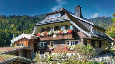 Haus zum Kauf provisionsfrei 690.000 € 11 Zimmer 450 m² 2.500 m² Grundstück Aitern 79677