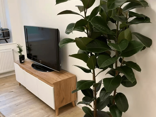 Wohnung zur Miete 1.200 € 1 Zimmer 38 m² Geschoss 2/6 frei ab 01.08.2026 Finowstraße 27 Friedrichshain Berlin 10247