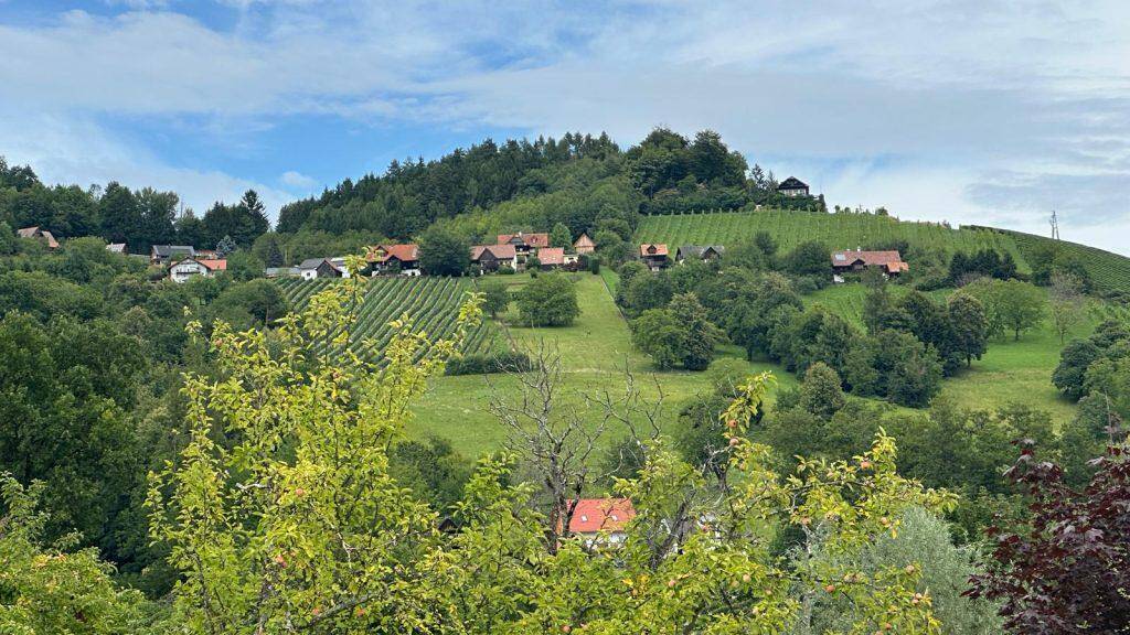 Grundstück zum Kauf 99.000 € 800 m² Grundstück Stainz 8510