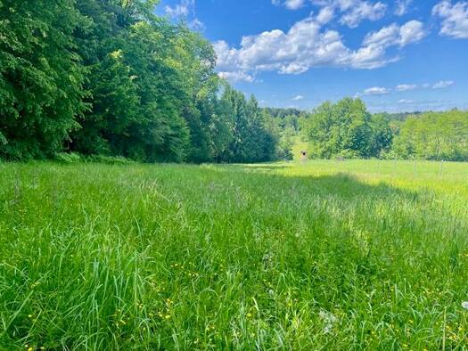 Grundstück zum Kauf 6,50 € 3.572 m² Grundstück Pölfing-Brunn 8544