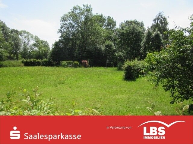 Grundstück zum Kauf 85.000 € 1.315 m²<br/>Grundstück Gütz Landsberg 06188