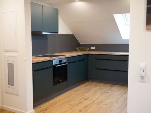 Wohnung zur Miete 1.100 € 1 Zimmer 101 m² Geschoss 2/3 frei ab sofort Zech Lindau (Bodensee) 88131