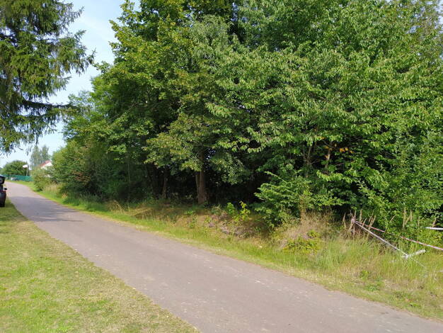 Grundstück zum Kauf provisionsfrei 39.000 € 780 m² Grundstück Rodeweg 2a Busdorf Behrenhoff OT Busdorf 17498