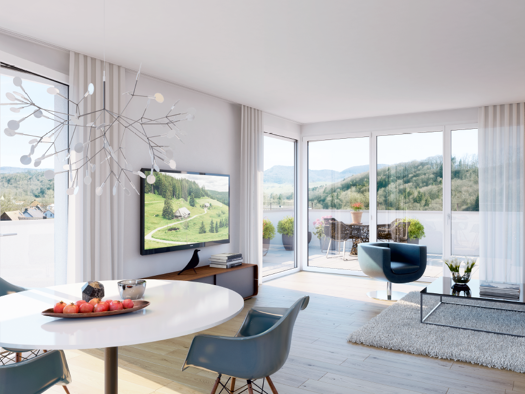 Wohnung zum Kauf provisionsfrei 499.000 € 4 Zimmer 105,7 m² 3. Geschoss Stadtweg 5 Stühlingen 79780