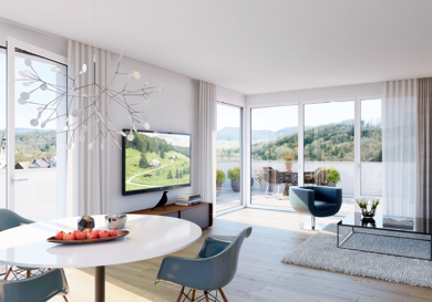 Wohnung zum Kauf provisionsfrei 499.000 € 4 Zimmer 105,7 m² 3. Geschoss Stadtweg 5 Stühlingen Stühlingen 79780