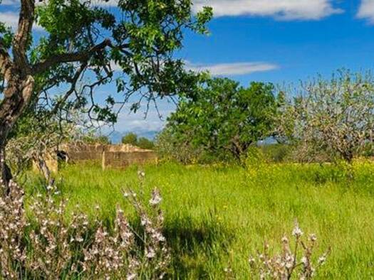 Grundstück zum Kauf provisionsfrei 480.000 € 18.588 m² Grundstück Petra 07520