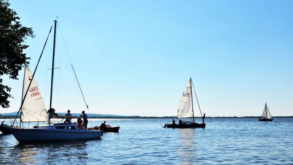 Grundstück zum Kauf provisionsfrei 78.500 € 750 m² Grundstück Rehburg Rehburg-Loccum 31547