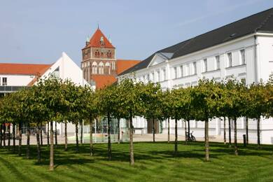 Mehrfamilienhaus zum Kauf 1.345.000 € 26 Zimmer 685 m² 602 m² Grundstück Fleischervorstadt Greifswald 17489