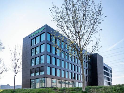 Bürofläche zur Miete provisionsfrei 6 Zimmer 1.220 m² Bürofläche Im Schlatt 1 Hohenems 6845