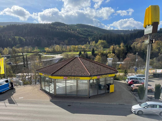 Büro zur Miete provisionsfrei 1.700 € 273 m² Bürofläche Titiseestr. 11 Neustadt Titisee-Neustadt 79822