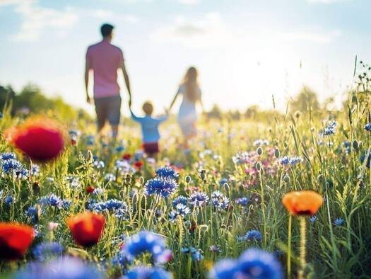 Wohnung zum Kauf - Neubau provisionsfrei 502.486 € 4 Zimmer 93,4 m² EG frei ab sofort Van-Gogh-Straße Herpersdorf Nürnberg 90455