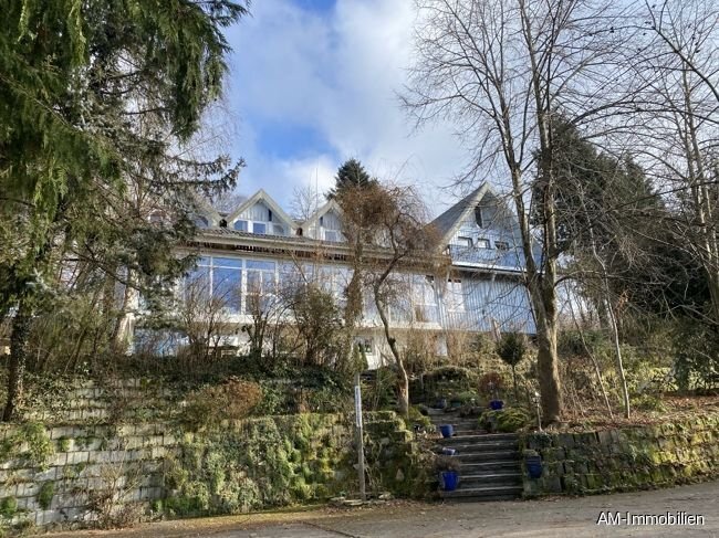 Mehrfamilienhaus zum Kauf 1.400.000 € 19 Zimmer 730 m²<br/>Wohnfläche 2.209 m²<br/>Grundstück Mittelstenweiler Salem 88682