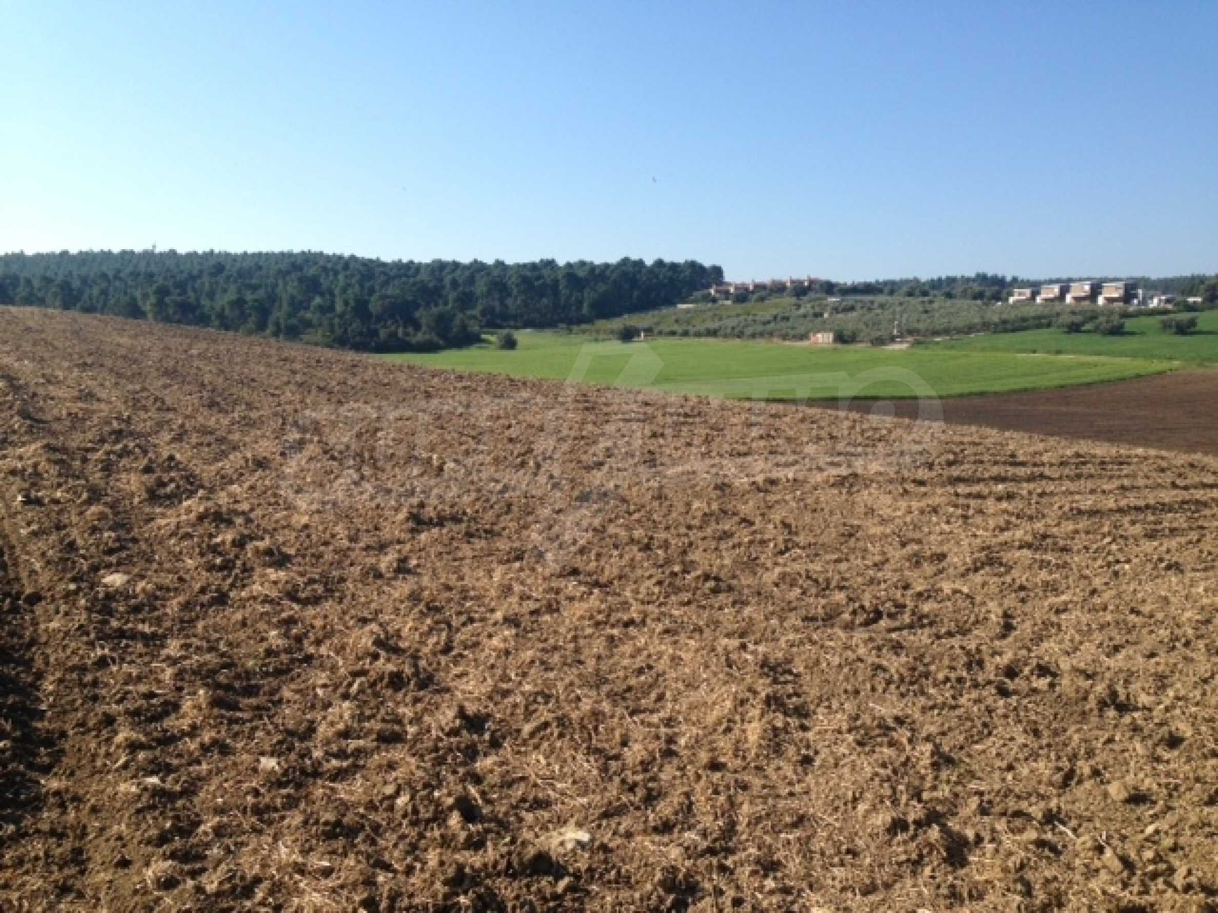 Landwirtschaftliche Fläche zum Kauf 1.500.000 € Sani