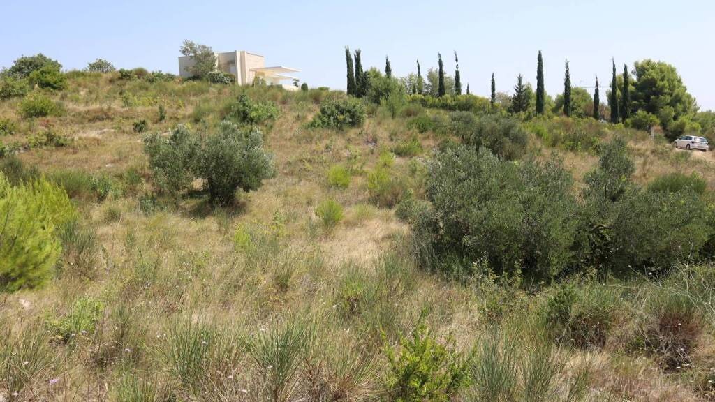 Land-/Forstwirtschaft zum Kauf 162.000 € Vodice Vodice