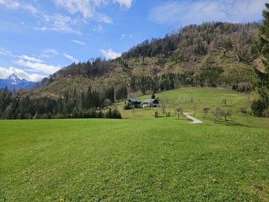 Bauernhof zum Kauf 3 € 258.000 m² Grundstück Sankt Gallen 8933