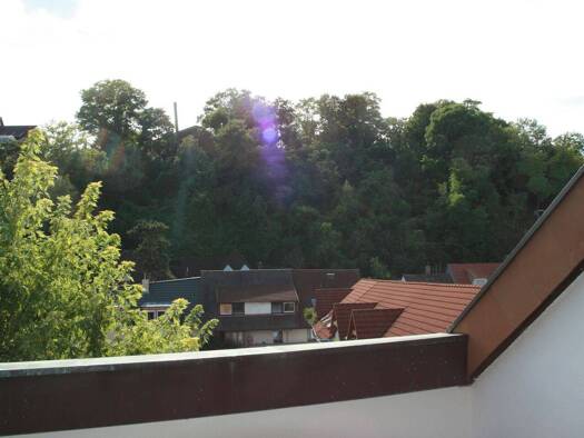 Wohnung zur Miete 645 € 2 Zimmer 62,9 m² Geschoss 4/5 frei ab 01.02.2027 Breisach Breisach am Rhein 79206