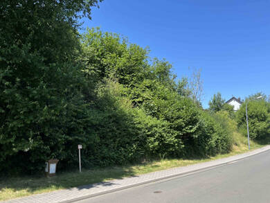 Grundstück zum Kauf 96.000 € 2.820 m² Grundstück Gönnersdorf 54584