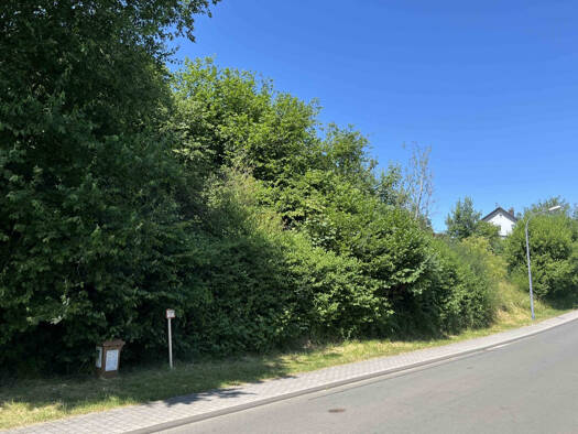 Grundstück zum Kauf 96.000 € 2.820 m² Grundstück Gönnersdorf 54584
