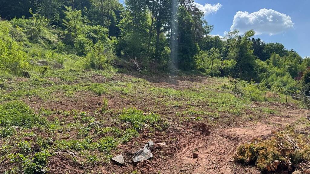 Grundstück zum Kauf 195.000 € 1.664 m² Grundstück Bechhofen 66894