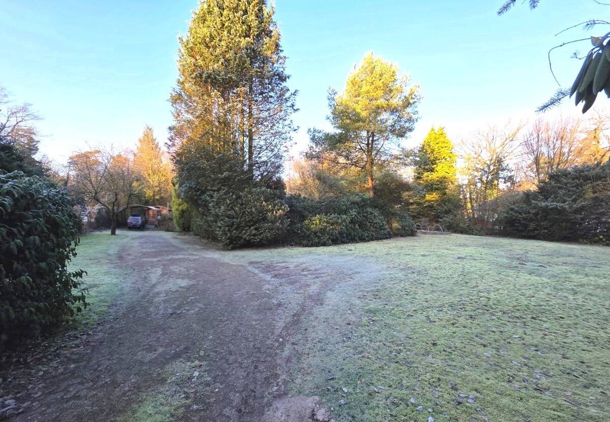 Immobilie in Hatten - Großzügiges Grundstück mit Potenzial - Ferienhaus/Baugrundstück in Hatten - Bild 1